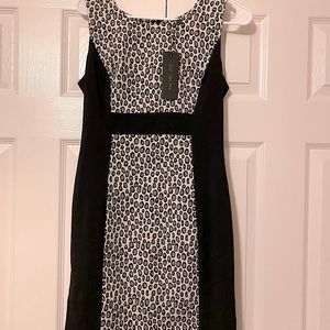 NWT Rachel Zoe Black & Beige Zippered Back Dress